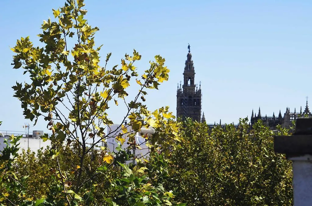 Appartement Apartamentos Adriano Séville Espagne